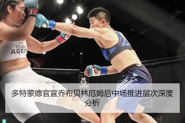 多特蒙德官宣乔布贝林厄姆后中场推进层次深度分析